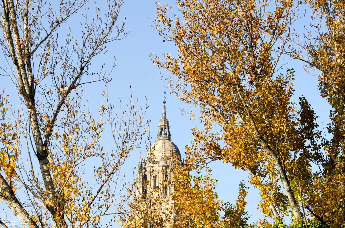 Torre de la Catedral de Salamanca