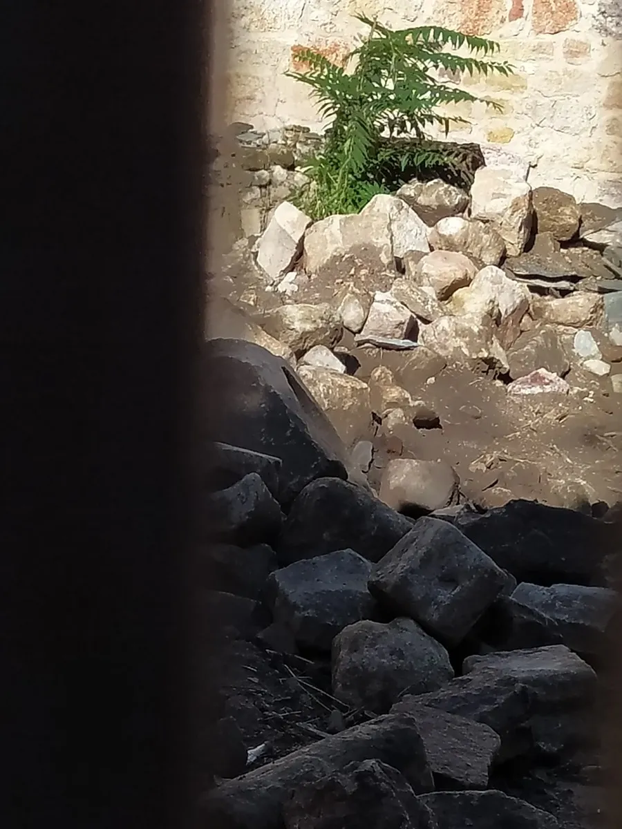 Foto 3 - &iquest;Qu&eacute; est&aacute; pasando en las &Uacute;rsulas? Ciudadanos por la Defensa del Patrimonio exige a la Junta conocer el proyecto de obras