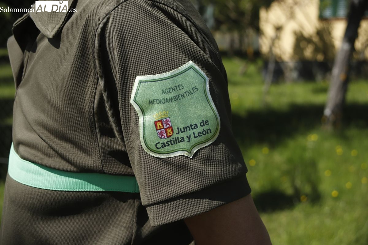 La Junta crea el bombero forestal y estabiliza a 2.200 fijos