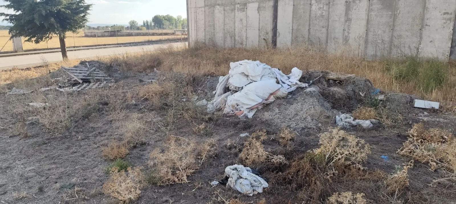 Foto 5 - Pe&ntilde;aranda en Com&uacute;n denuncia la situaci&oacute;n de abandono de las zonas verdes del pol&iacute;gono industrial El Inestal