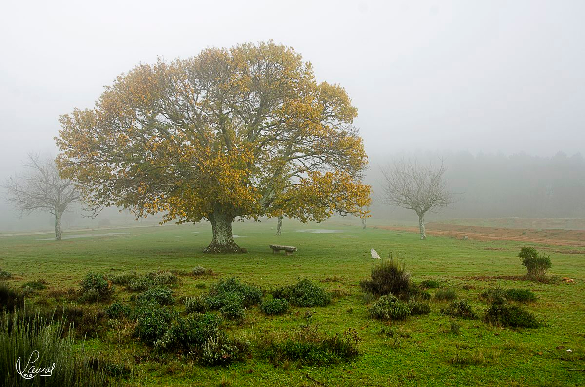 San Miguel de Valero, Salamanca