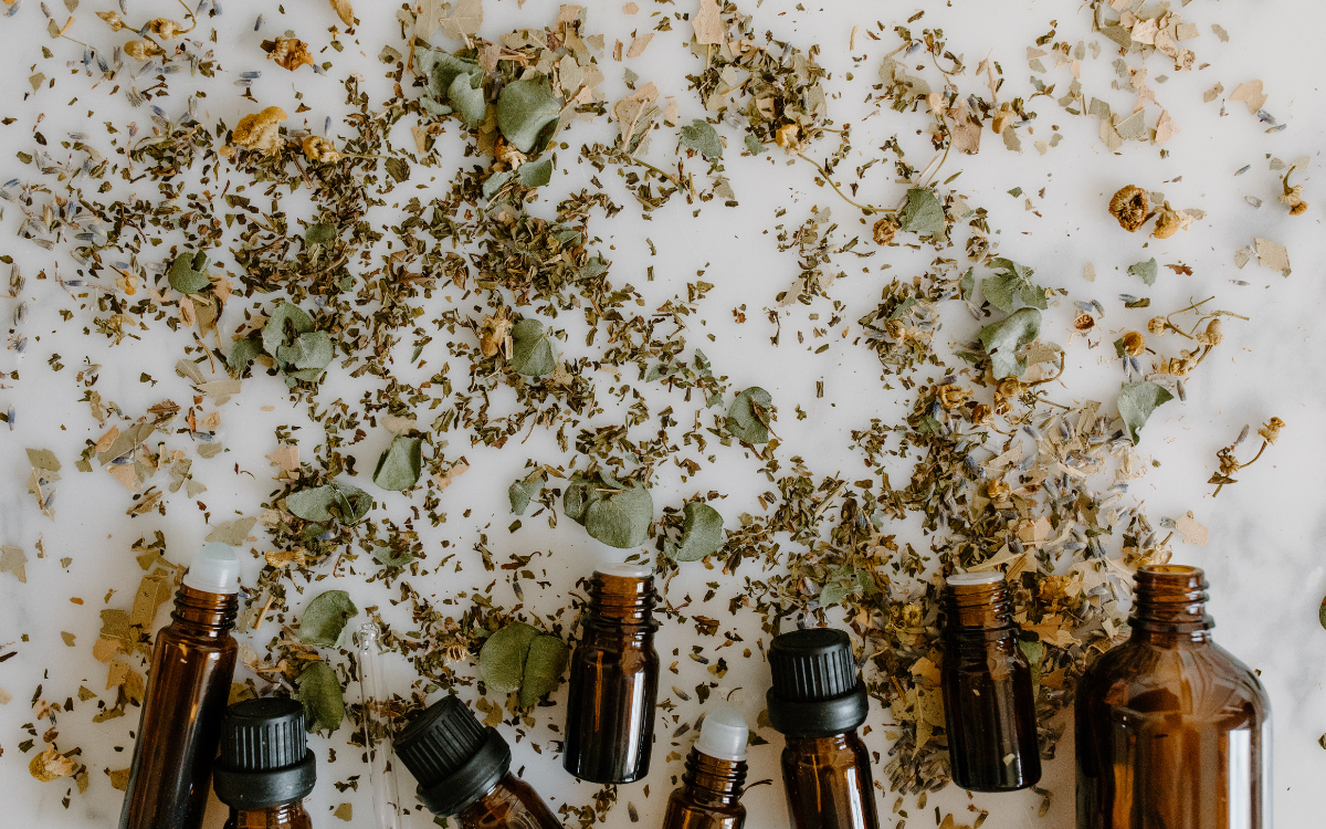 Los mejores growshops de Salamanca: guía práctica para cultivadores