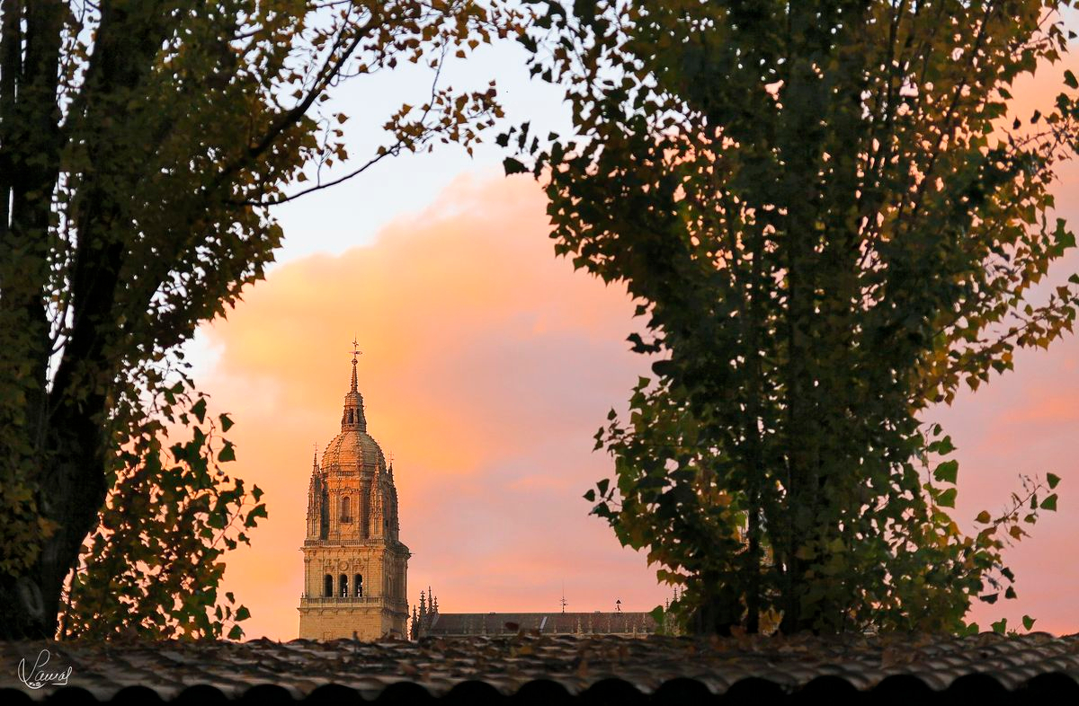 Torre de la Catedral de Salamanca