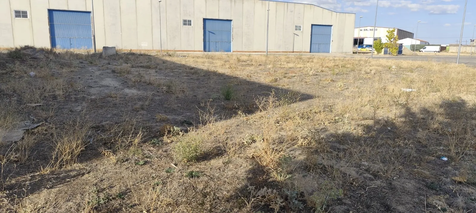 Foto 10 - Pe&ntilde;aranda en Com&uacute;n denuncia la situaci&oacute;n de abandono de las zonas verdes del pol&iacute;gono industrial El Inestal