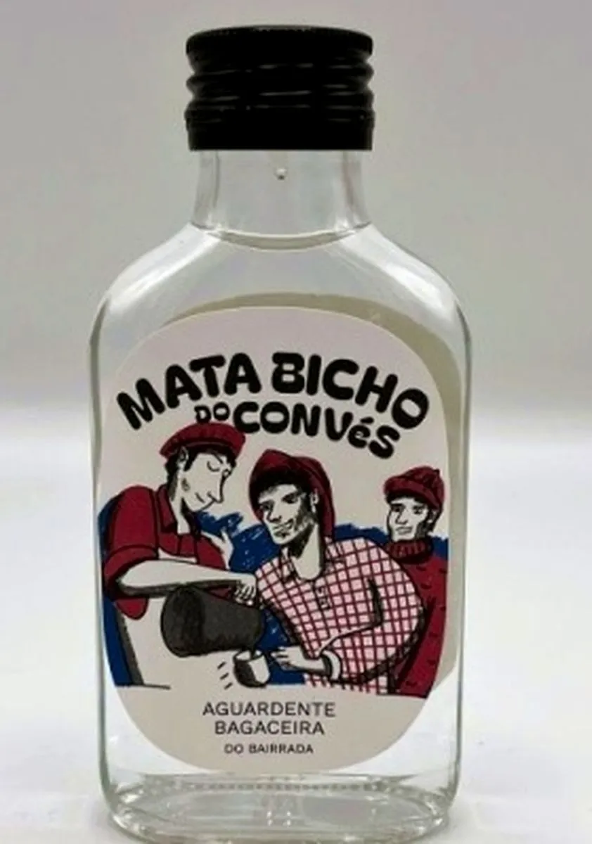 Foto 8 - El Museo Mar&iacute;timo de &Iacute;lhavo ya dispone de tienda online