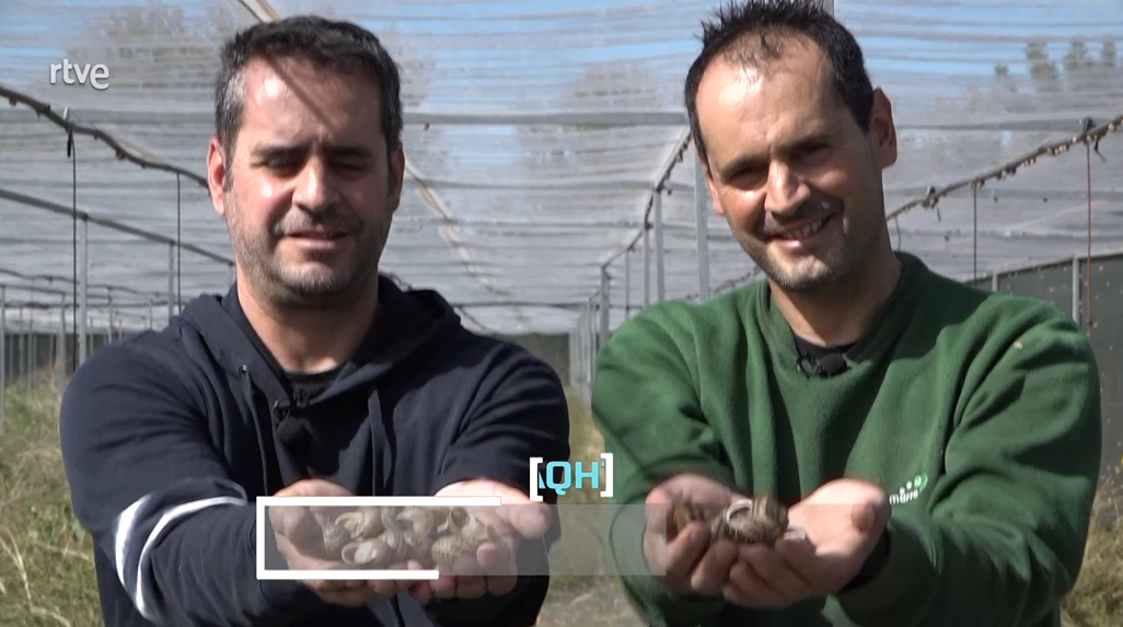 El programa ‘Aquí hay trabajo’ de La 2 dedica un reportaje a la cría de caracoles de Jorge y Raúl Benito