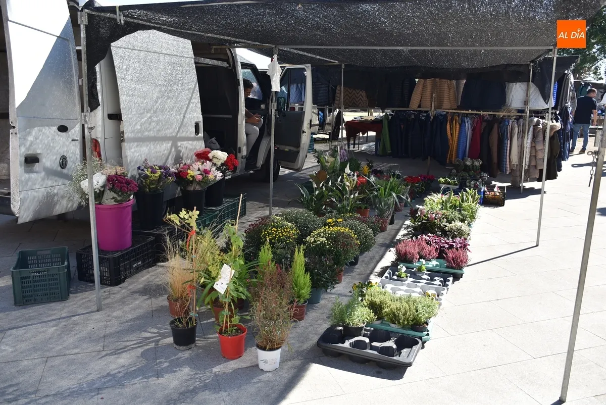 Foto 2 - Las flores para el D&iacute;a de Todos los Santos le dan colorido extra al mercadillo sabatino