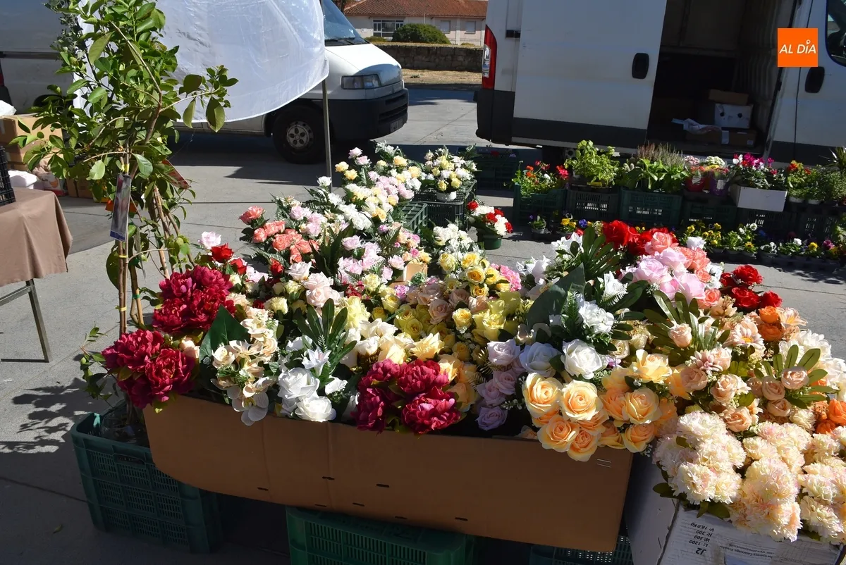 Foto 3 - Las flores para el D&iacute;a de Todos los Santos le dan colorido extra al mercadillo sabatino