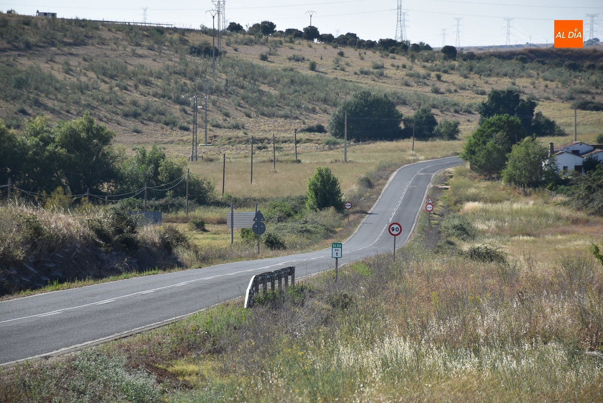 El PSOE reclama medidas para reducir los accidentes por la fauna en la carretera de Saelices