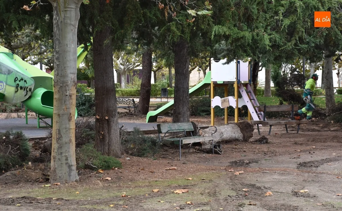 Foto 3 - Arranca una profunda remodelaci&oacute;n de una amplia &aacute;rea del Parque de La Glorieta