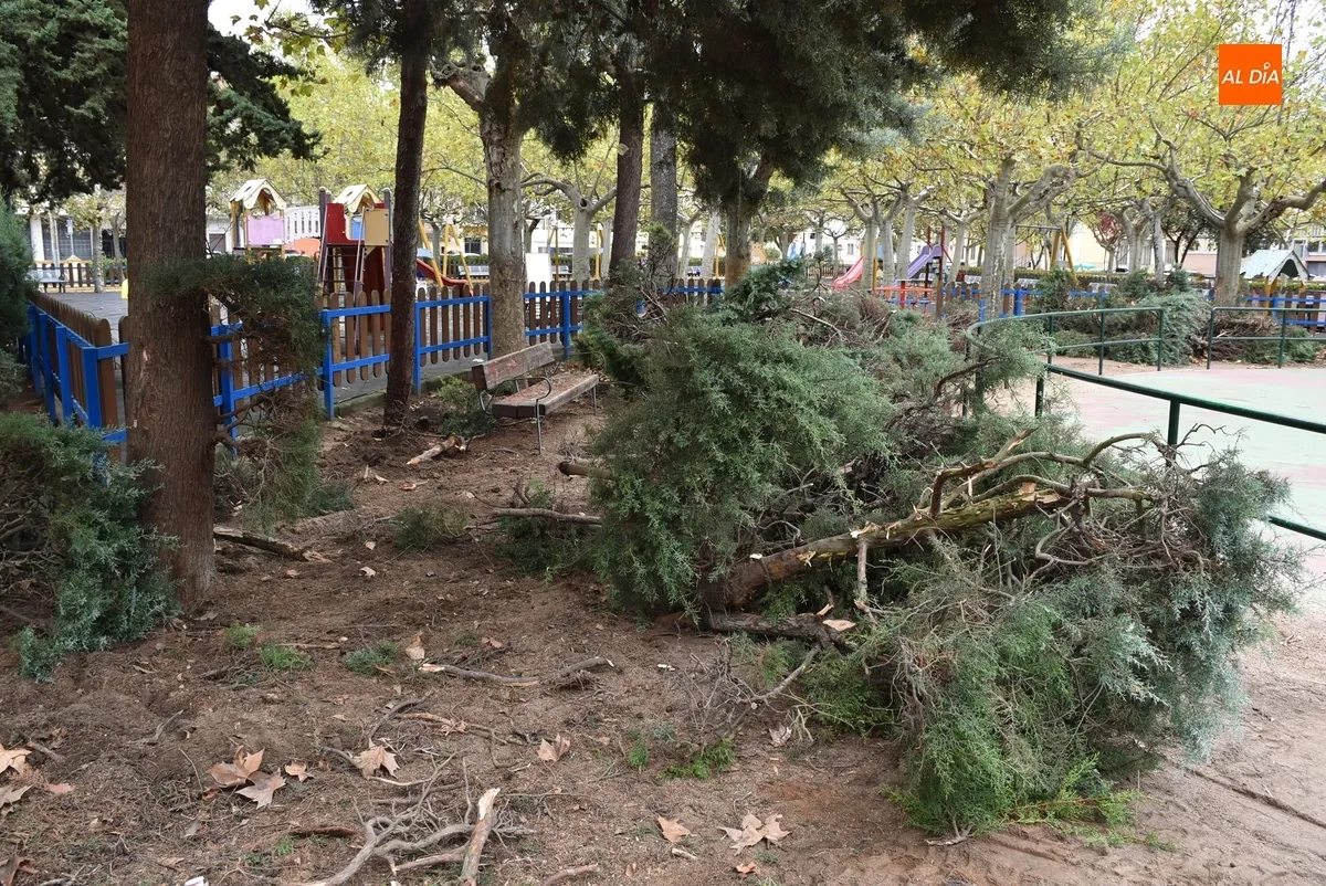 Foto 7 - Arranca una profunda remodelaci&oacute;n de una amplia &aacute;rea del Parque de La Glorieta
