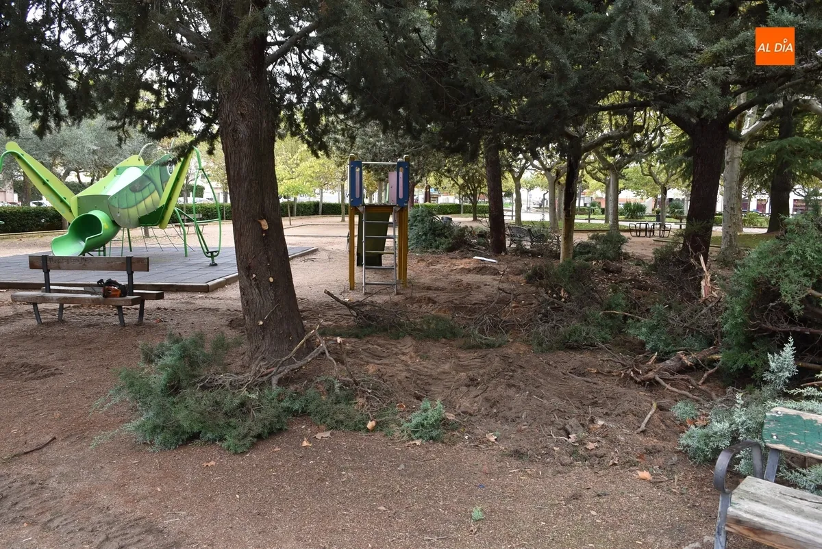 Foto 8 - Arranca una profunda remodelaci&oacute;n de una amplia &aacute;rea del Parque de La Glorieta