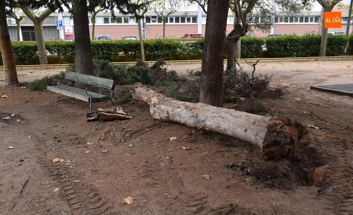 Foto 9 - Arranca una profunda remodelaci&oacute;n de una amplia &aacute;rea del Parque de La Glorieta