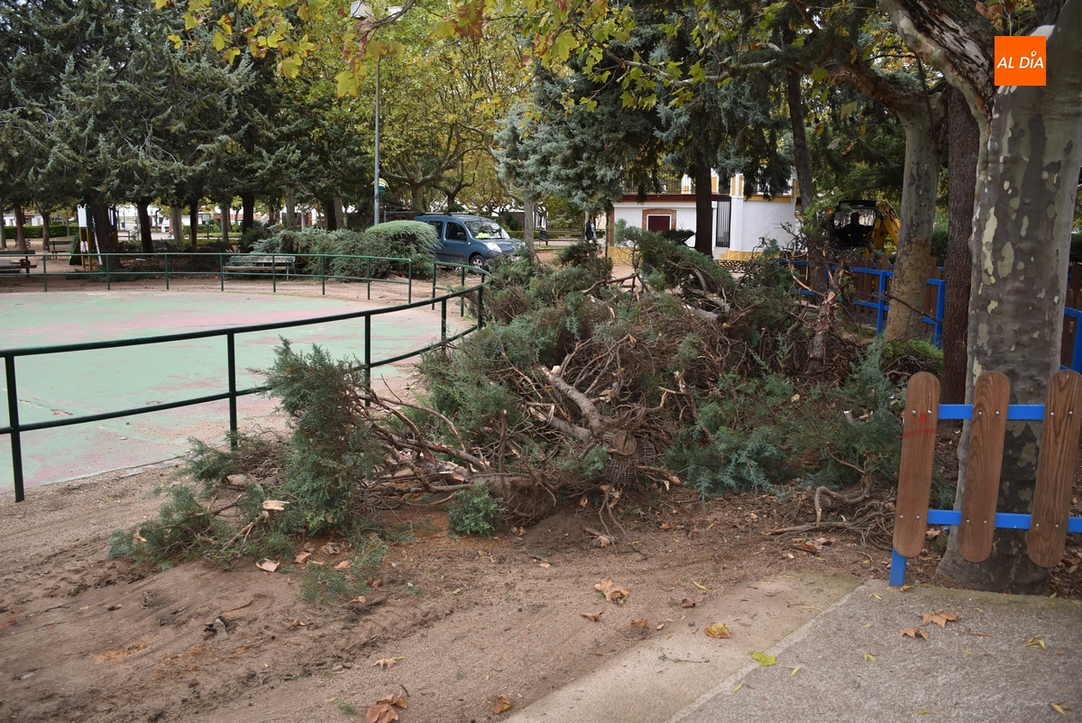Arranca una profunda remodelación de una amplia área del Parque de La Glorieta