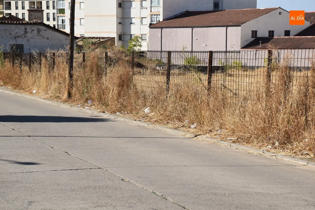 Foto 3 - La maleza inutiliza un amplio tramo de acera del Camino del Cementerio