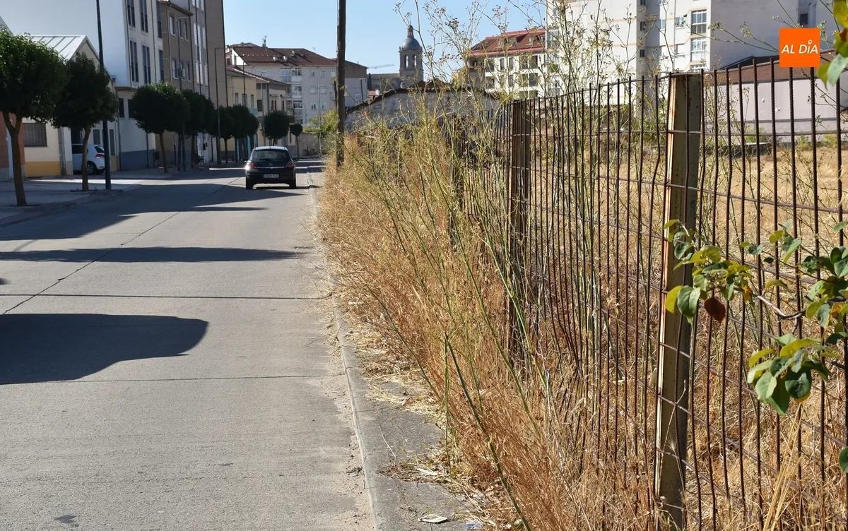 Foto 4 - La maleza inutiliza un amplio tramo de acera del Camino del Cementerio