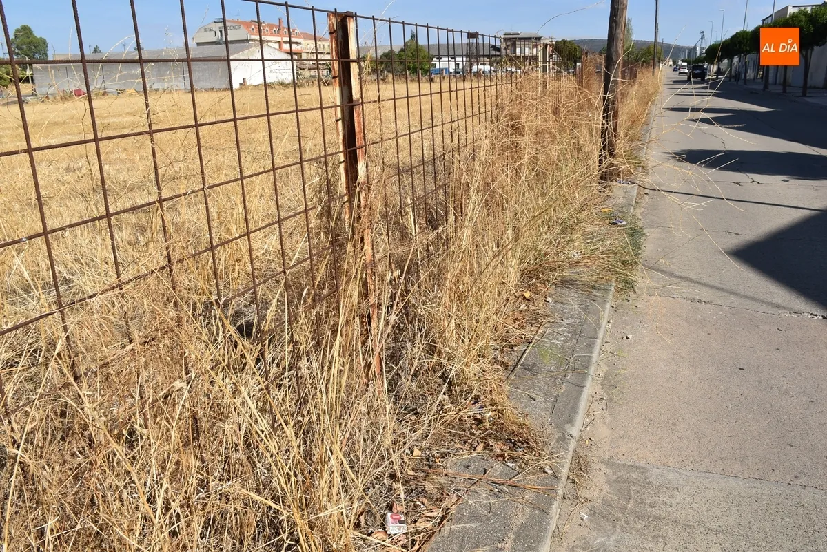Foto 5 - La maleza inutiliza un amplio tramo de acera del Camino del Cementerio