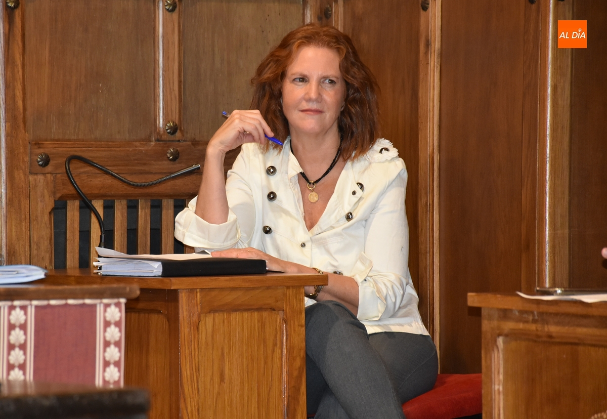 Vox ve insignificante la bajada del IBI teniendo en cuenta lo que subió hace dos años