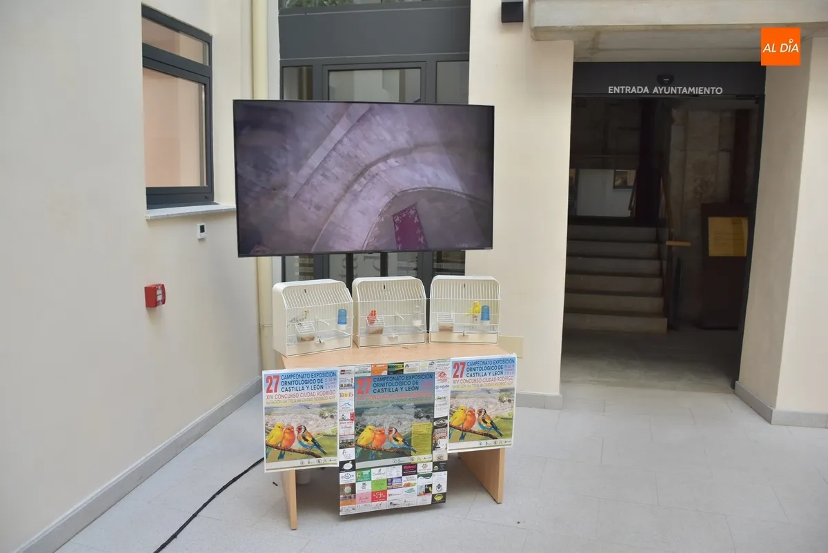 Foto 3 - La Casa Consistorial vuelve a contar con p&aacute;jaros para promocionar el Concurso Ornitol&oacute;gico