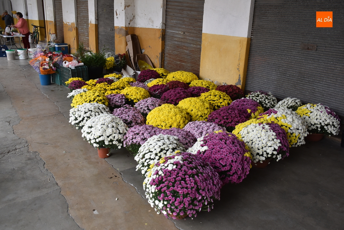 Protagonismo para las flores en el último mercado de los martes antes del Día de Todos los Santos