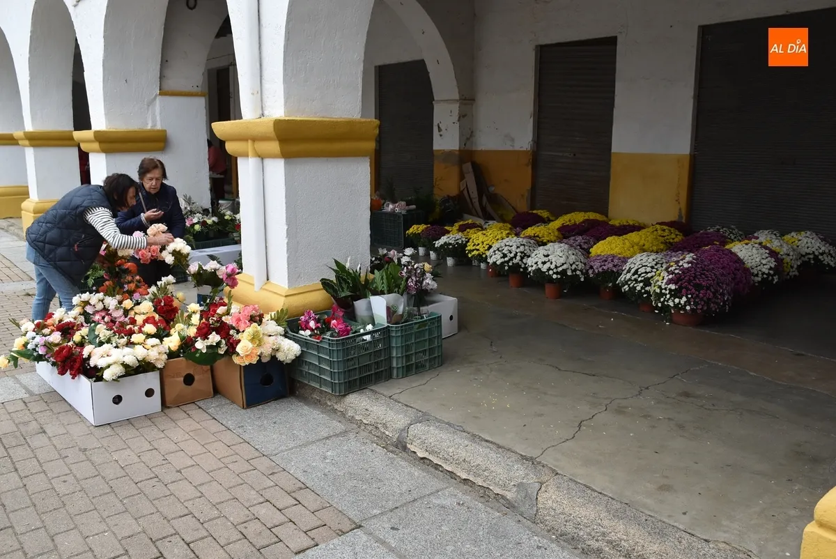 Foto 3 - Protagonismo para las flores en el &uacute;ltimo mercado de los martes antes del D&iacute;a de Todos los Santos