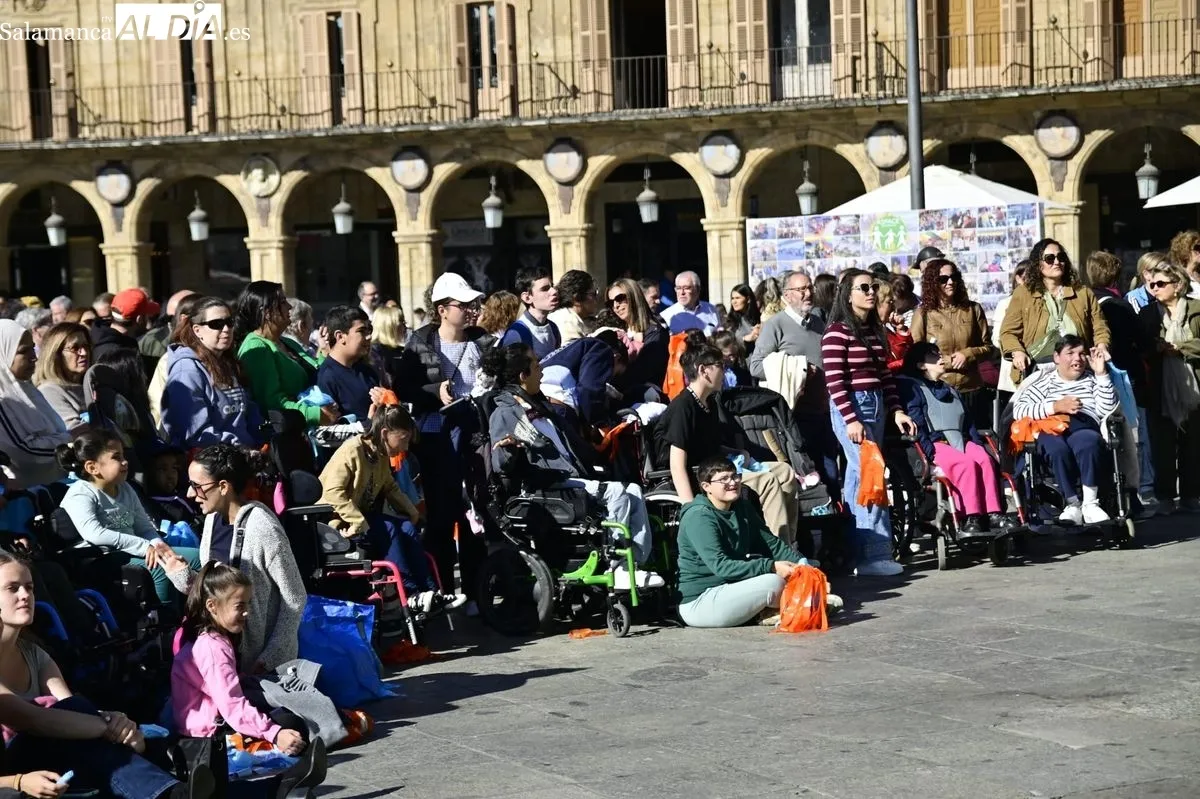 Día Mundial de la Parálisis Cerebral en la Plaza Mayor. Foto SALAMANCArtv AL DÍA