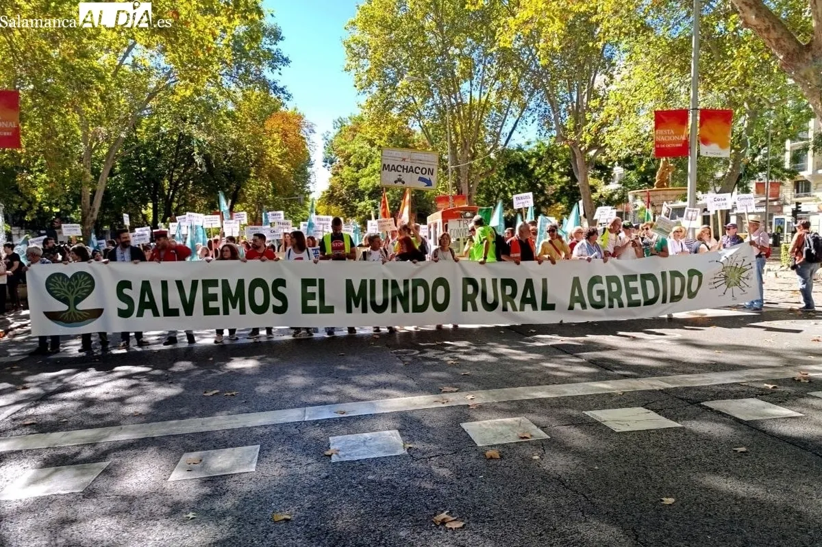 Los núcleos rurales de la provincia salmantina también estuvieron representados   