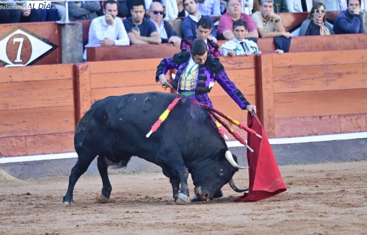 Foto 11 - La &uacute;ltima obra de arte de Morante en La Glorieta, en FOTOS