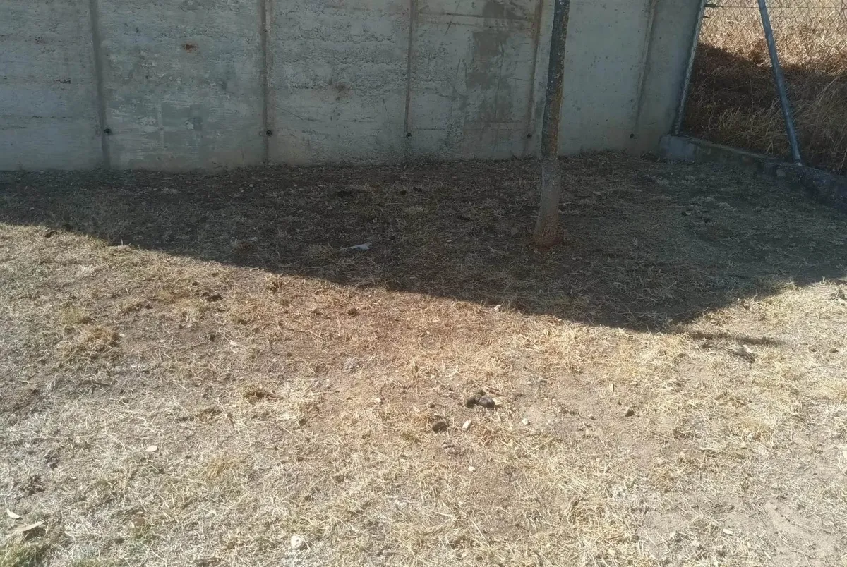 Foto 4 - Denuncian el incivismo en el parque canino del Valle de San Mart&iacute;n