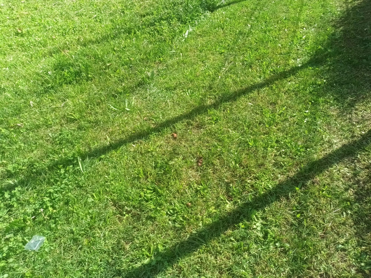 Denuncian el incivismo en el parque canino del Valle de San Martín