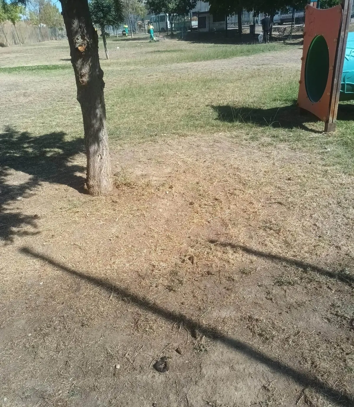 Foto 2 - Denuncian el incivismo en el parque canino del Valle de San Mart&iacute;n