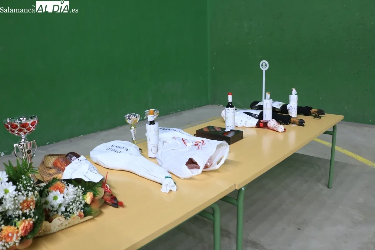 Excelente nivel el que demostraron las 16 parejas participantes en este XIV Campeonato de Frontenis de Vitigudino / CORRAL