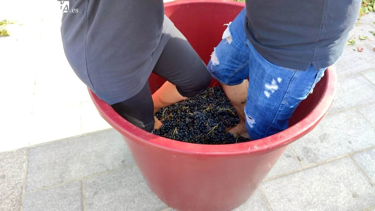 Villarino vivió este sábado una nueva edición de la Fiesta de la Vendimia / CORRAL