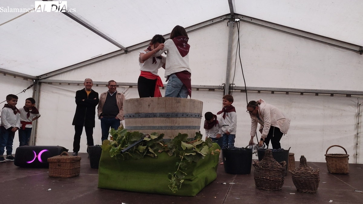 Feria del Vino Aldeadávila 2025: programa y actividades