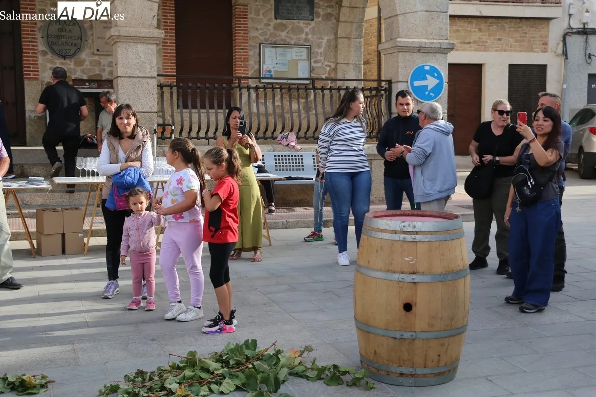 Villarino vivió este sábado una nueva edición de la Fiesta de la Vendimia / CORRAL