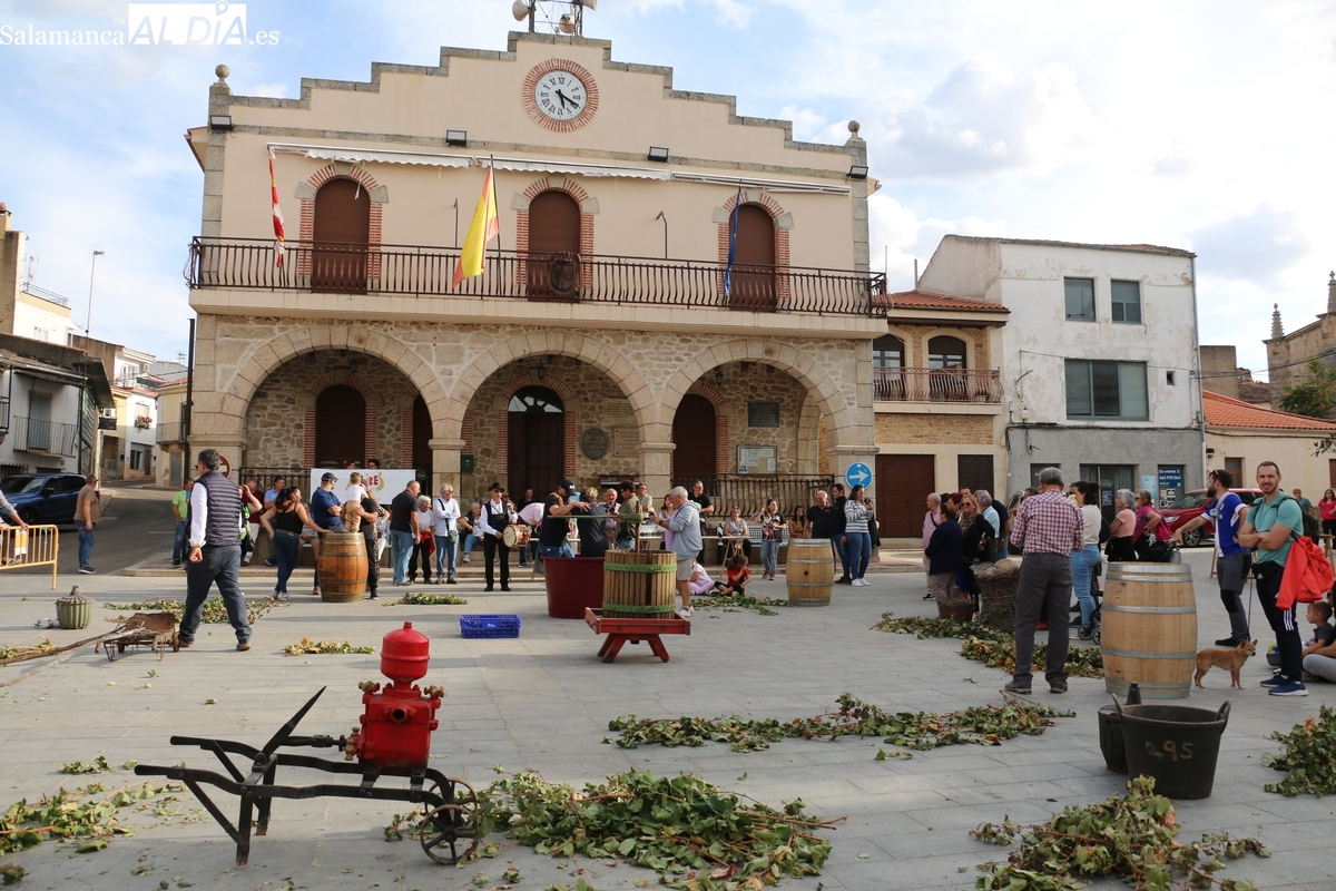 Fiesta de la Vendimia en Villarino de los Aires 2025