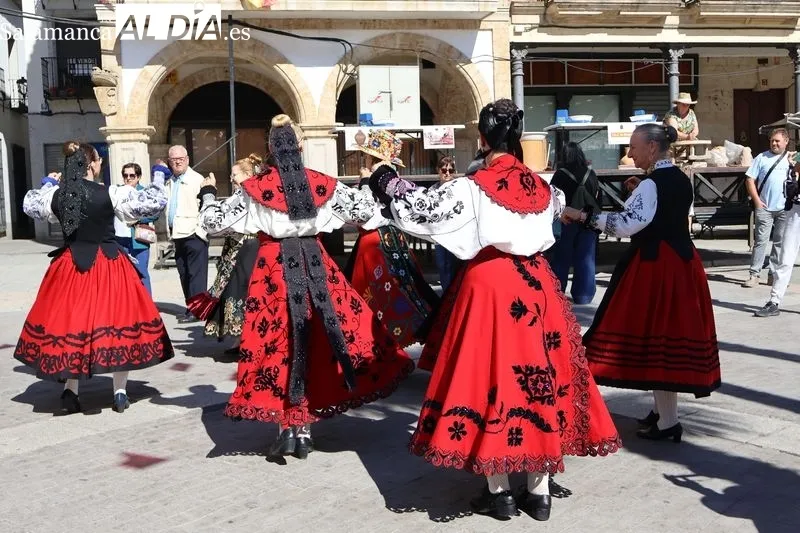 Foto 2 - La Feria del Barro de Alba de Tormes abre su quinta edici&oacute;n con artesanos de toda Espa&ntilde;a