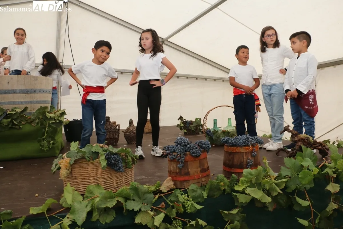 Inauguración de la III Feria del Vino en Aldeadávila de la Ribera / CORRAL 