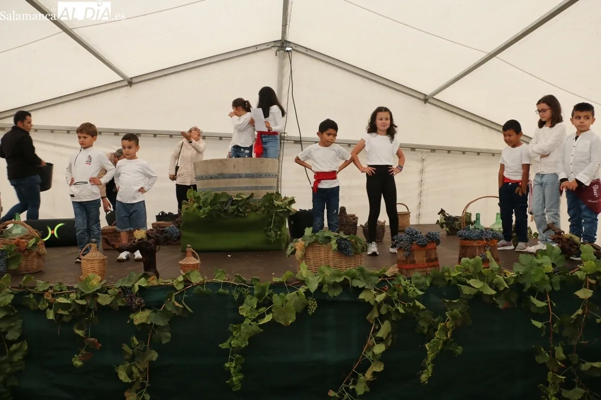 Inauguración de la III Feria del Vino en Aldeadávila de la Ribera / CORRAL 