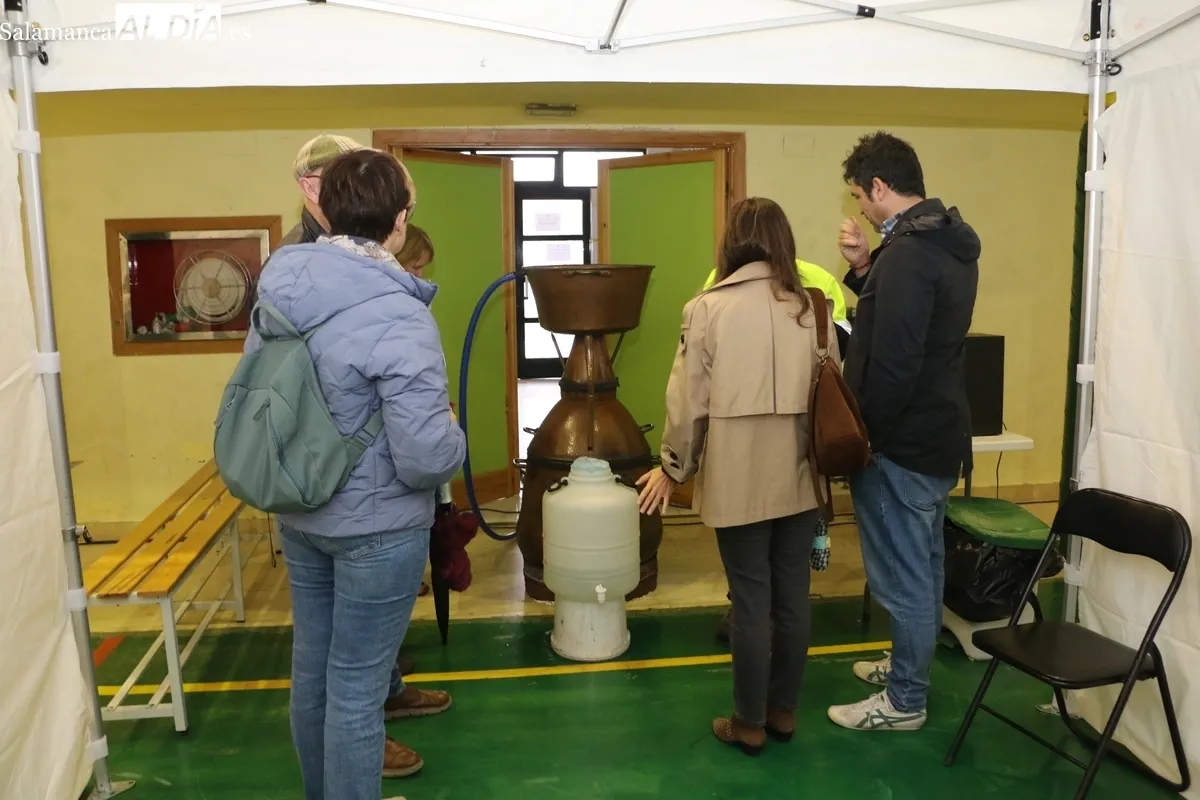 Buena afluencia en la Feria del Vino de Aldeadávila a pesar de la lluvia reinante durante toda la mañana / CORRAL