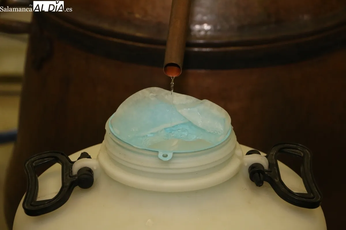 Buena afluencia en la Feria del Vino de Aldeadávila a pesar de la lluvia reinante durante toda la mañana / CORRAL