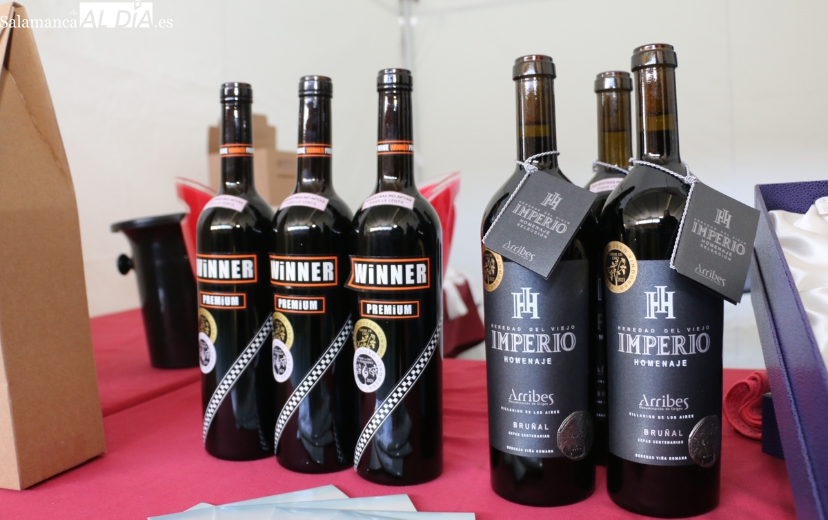 Vinos D.O. Arribes: presentación en Salamanca para hosteleros