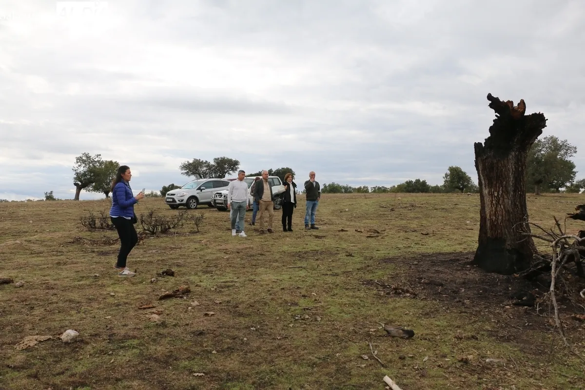 Visita de la subdelegada del Gobierno a la 'zona cero' del incendio de Cipérez del pasado verano / CORRAL