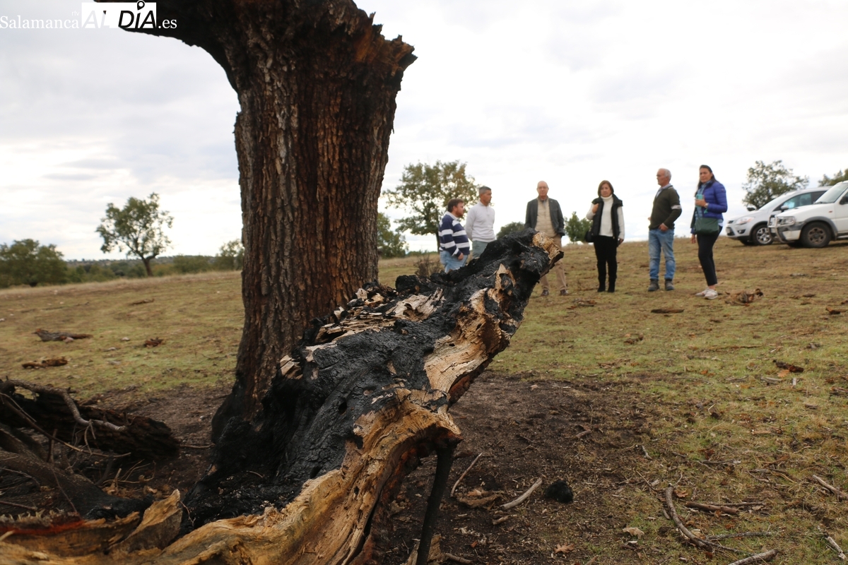 Críticas a la Junta en la visita de la subdelegada al incendio de Cipérez