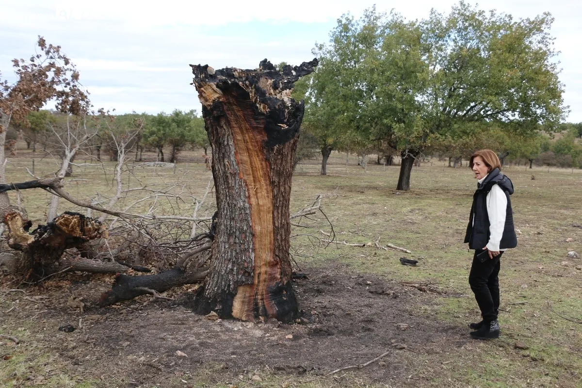 Visita de la subdelegada del Gobierno a la 'zona cero' del incendio de Cipérez del pasado verano / CORRAL