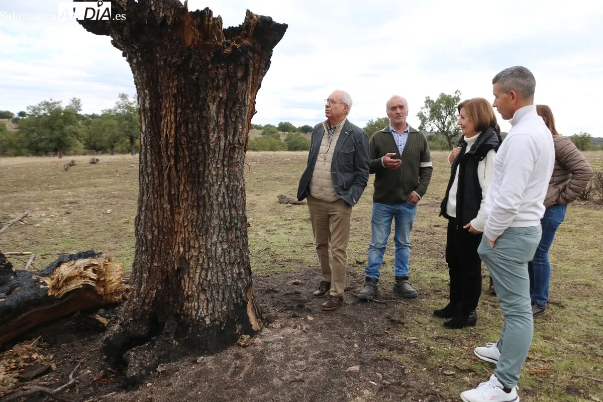 Visita de la subdelegada del Gobierno a la 'zona cero' del incendio de Cipérez del pasado verano / CORRAL
