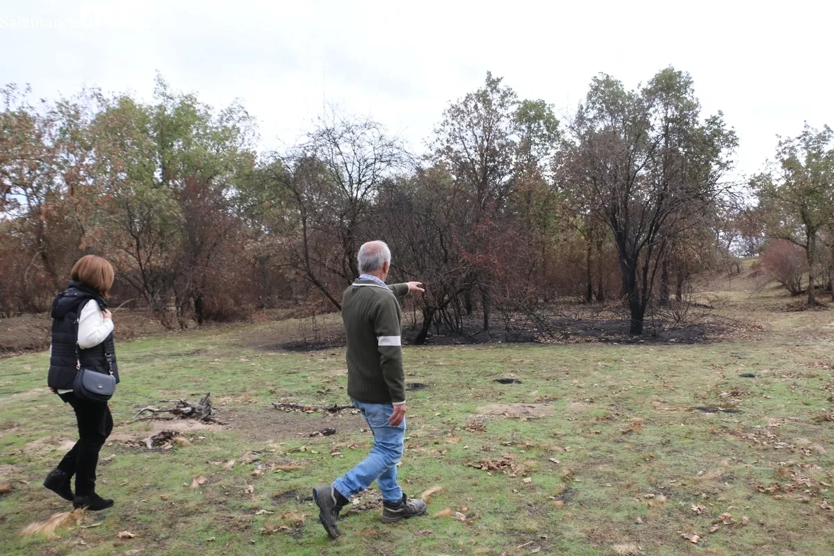 Visita de la subdelegada del Gobierno a la 'zona cero' del incendio de Cipérez del pasado verano / CORRAL