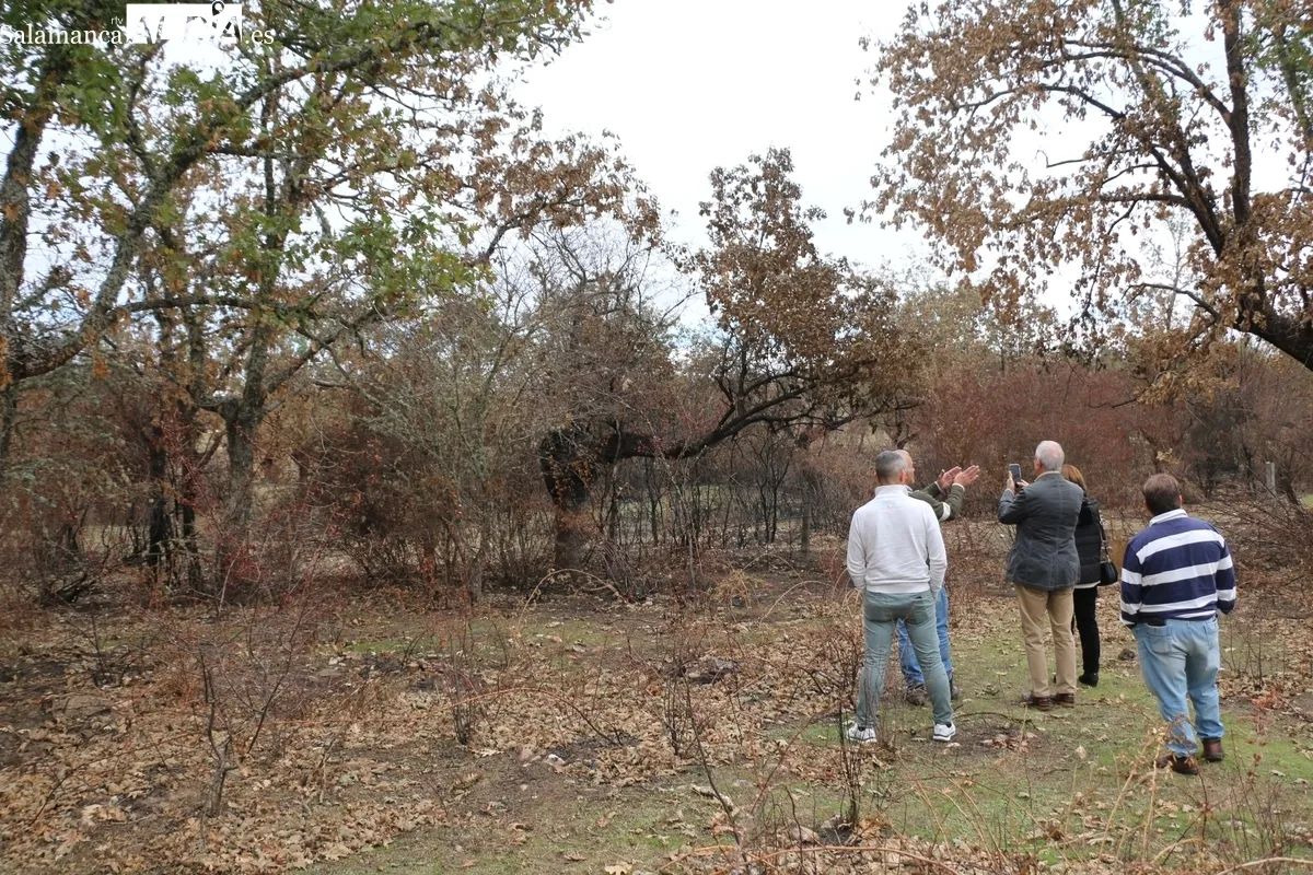 Visita de la subdelegada del Gobierno a la 'zona cero' del incendio de Cipérez del pasado verano / CORRAL