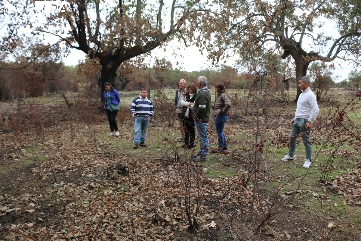 Visita de la subdelegada del Gobierno a la 'zona cero' del incendio de Cipérez del pasado verano / CORRAL
