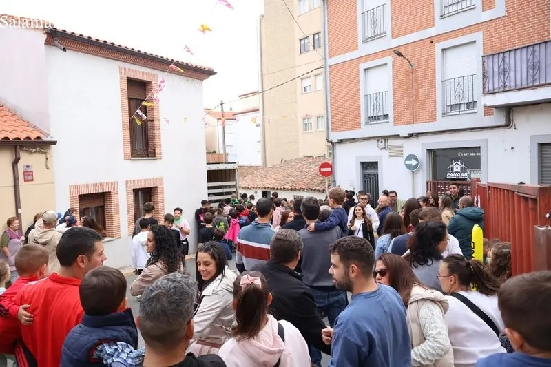 Foto 9 - Los m&aacute;s peque&ntilde;os disfrutan del encierro de mini bueyes en Alba de Tormes